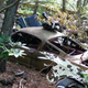 Illustration for article titled Massive Secret Mustang Junkyard Found In Rhode Island Forest